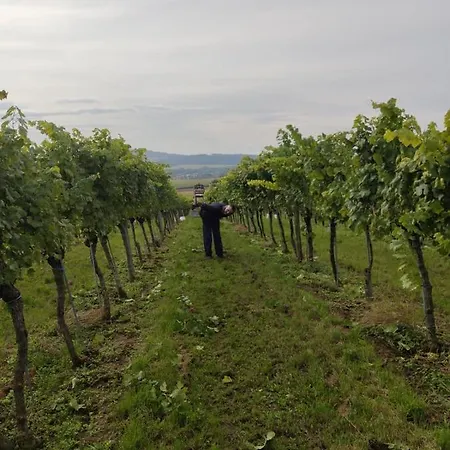 Vermieterei Appartement *