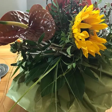 Vermieterei Apartamento Oberwolbling