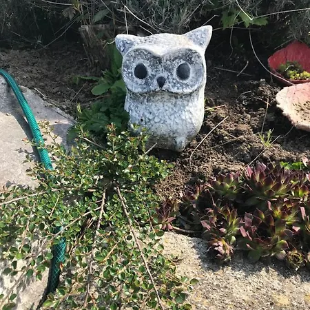 Vermieterei * Oberwolbling