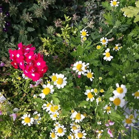 Vermieterei Oberwolbling