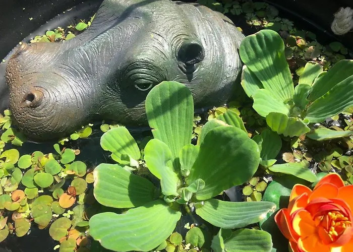 Vermieterei Appartement *