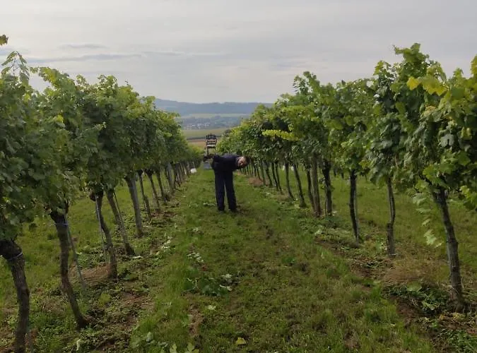 Vermieterei Appartement *