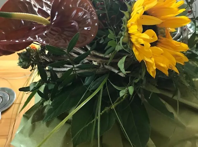 Vermieterei Appartement Oberwolbling